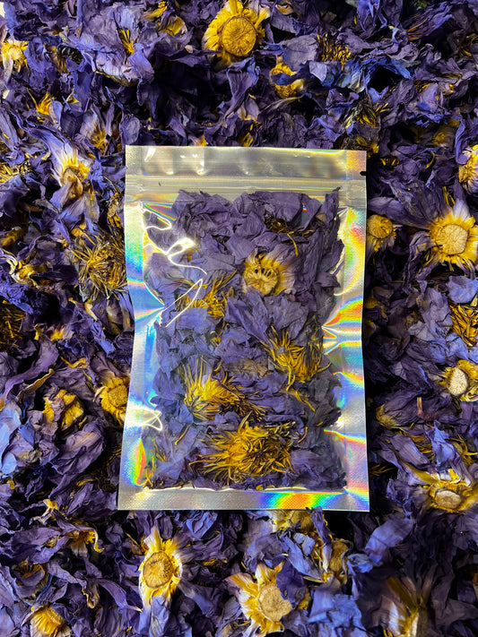 Organic Dried Blue Lotus Flower